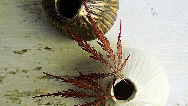 Introducing Wabi Sabi vases