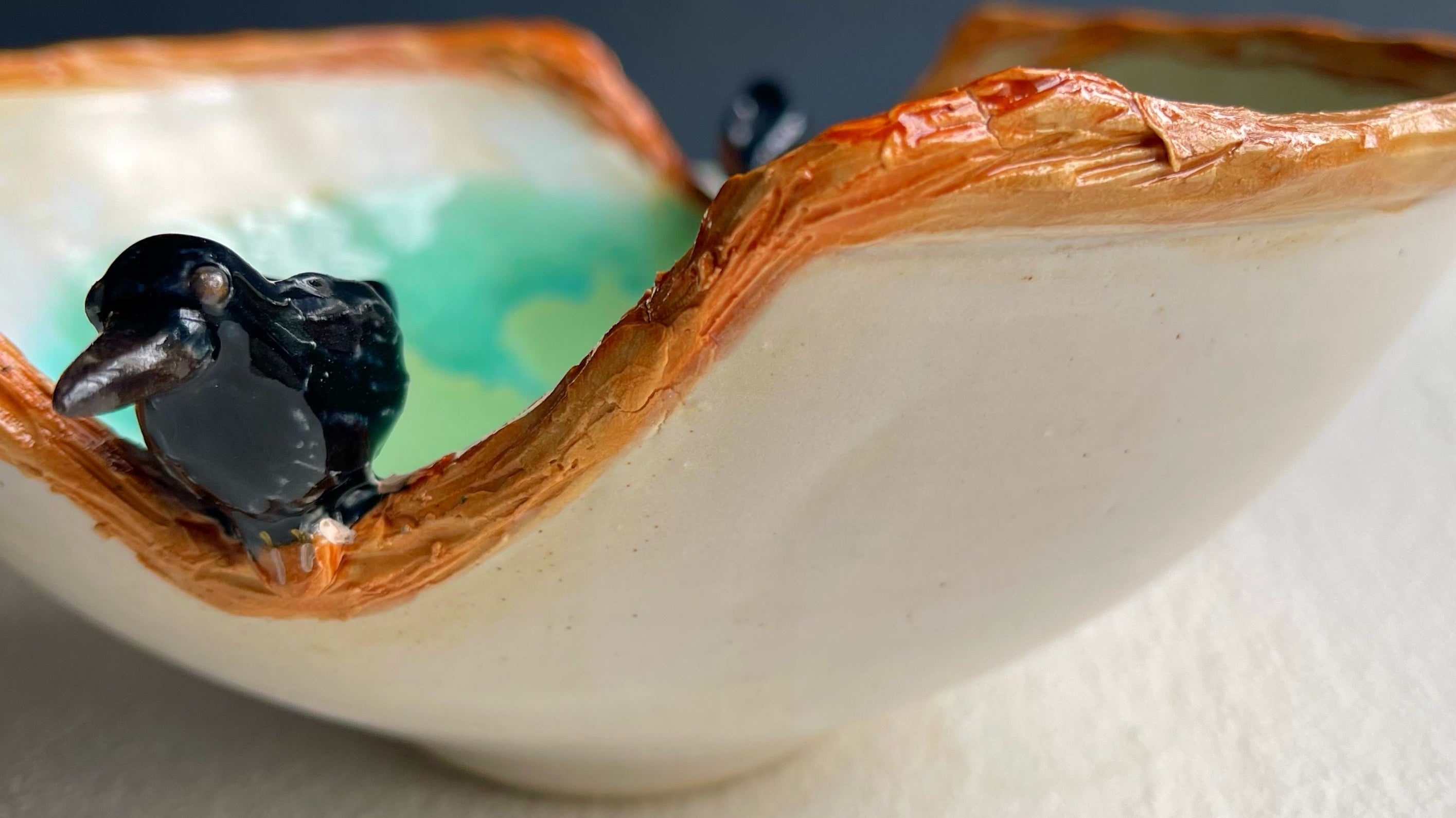 The Watchers Among Us: What Ravens Mean to the People Who Choose Them