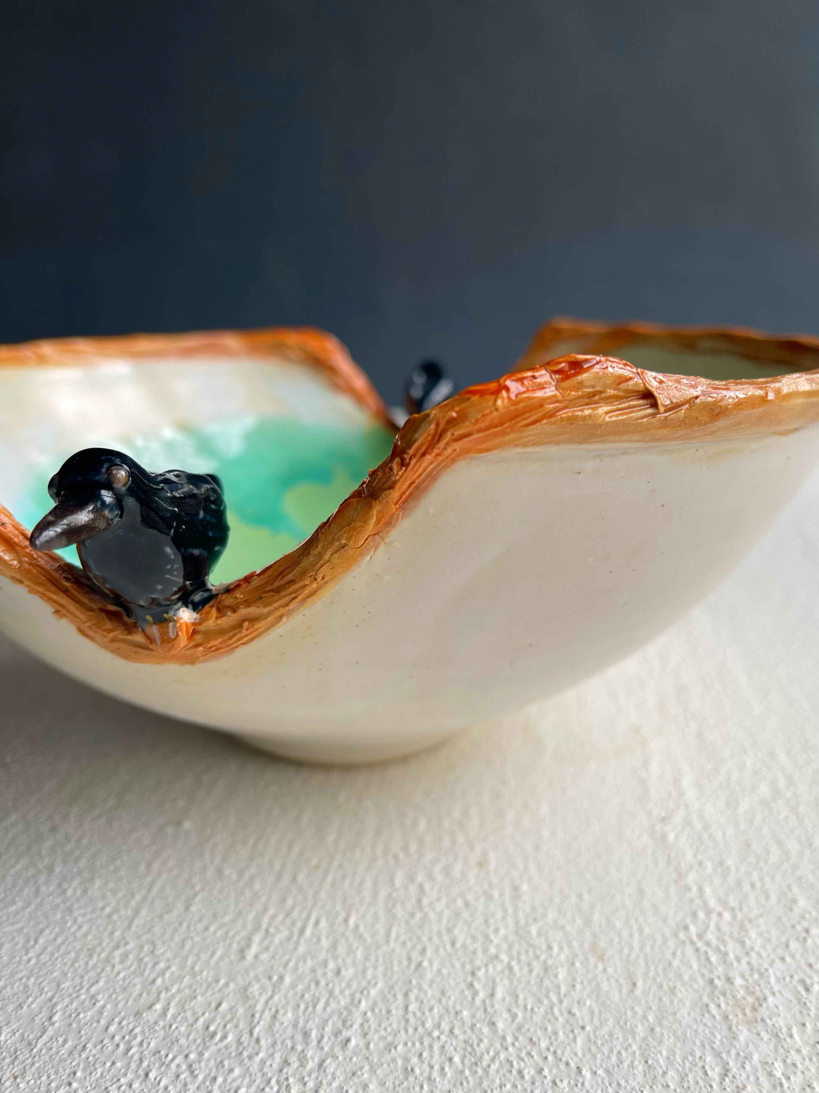 The Watchers Among Us: What Ravens Mean to the People Who Choose Them