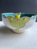 bowl SM1 with Luna moth  3 C