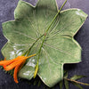 Leaf large serving platter LB1  13” D